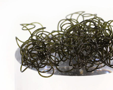 Wiggly Worms - Go - Fish