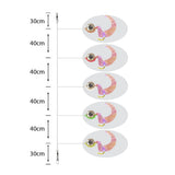 Amettiere sabiki per persico Big Eye Curly Tail