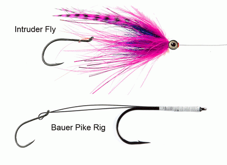 Ami GF-ST4 Stinger/Intruder Go-Fish