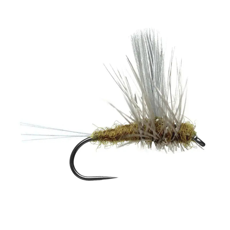 B.W.O BL Go-Fish #12