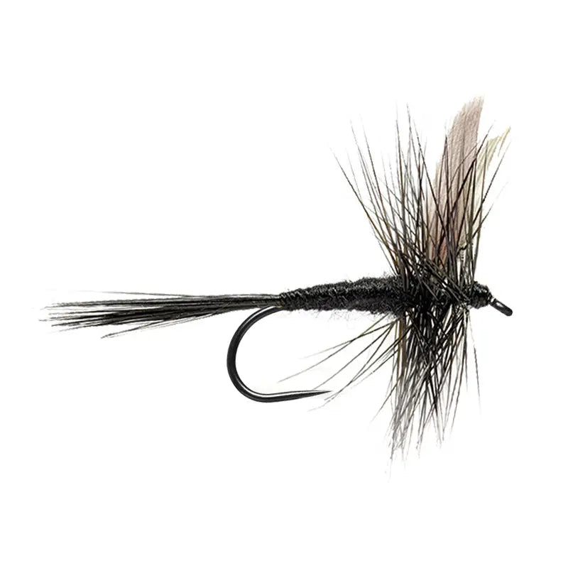 Black Gnat BL Go-Fish #10