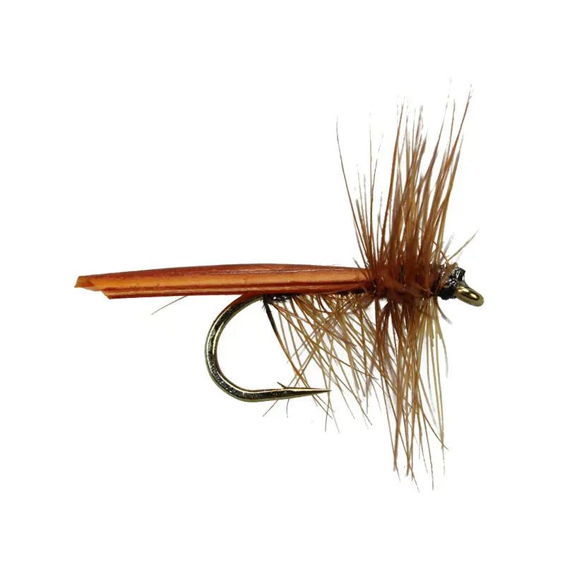 Brown Stone Fly Go-Fish