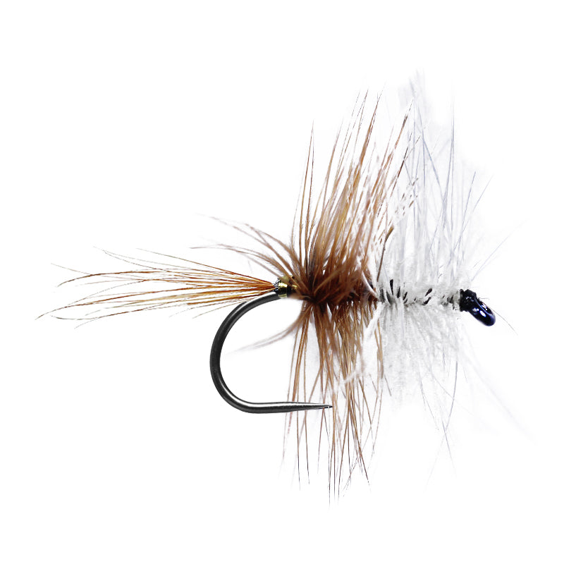Brown White Palmer BL Go-Fish #10