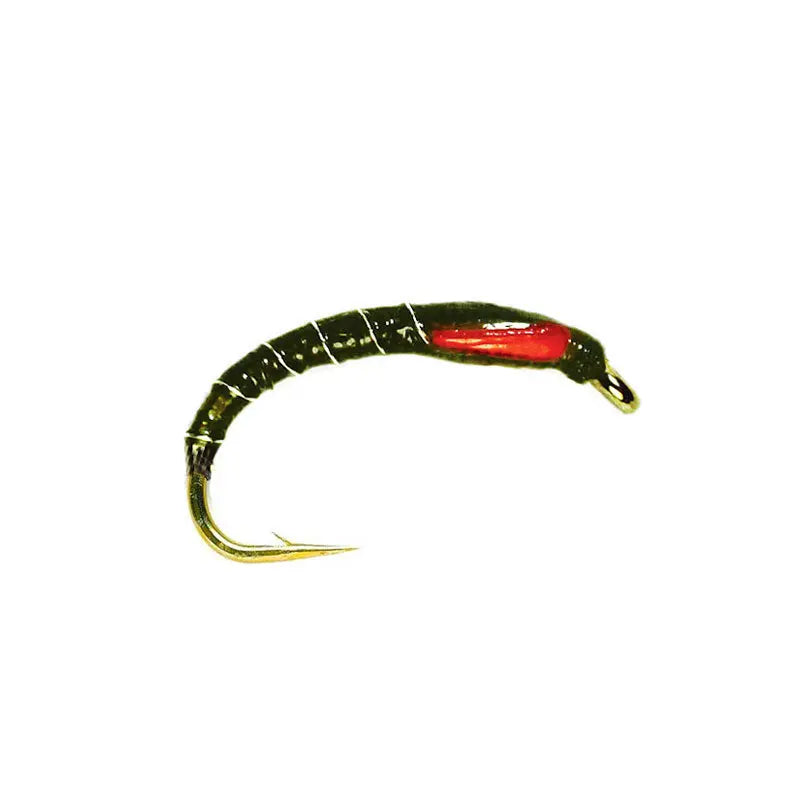 Buzzer Olive (Superglue) Go-Fish #12