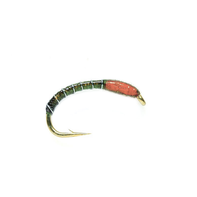 Buzzer Olive (Superglue) Go-Fish