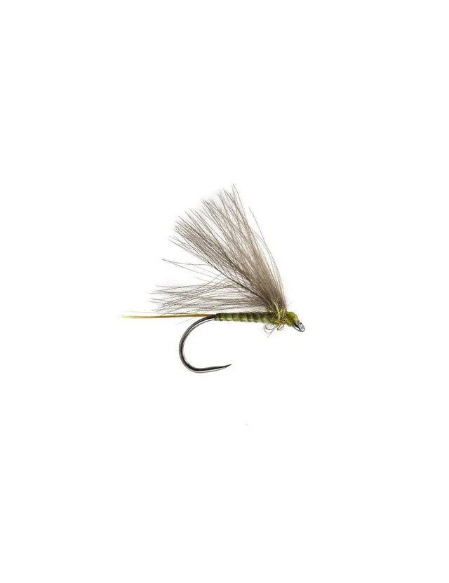 CDC BWO BL golden olive Go-Fish