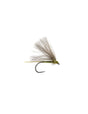 CDC BWO BL golden olive - Go - Fish