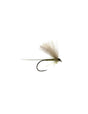 CDC BWO BL olive Go-Fish