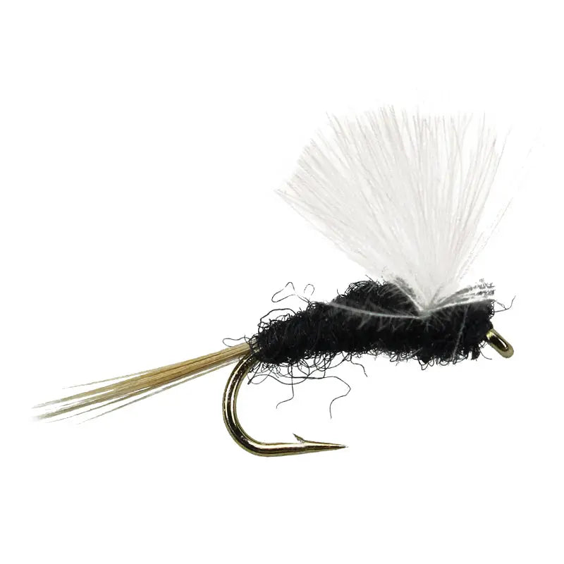 CDC - Black CDC Go-Fish