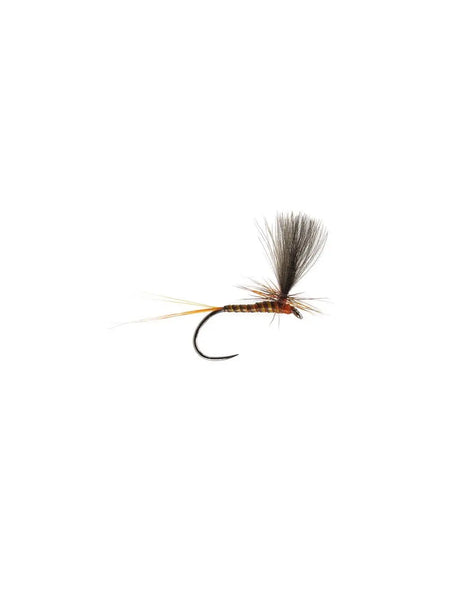 CDC Quill Parachute ginger Go-Fish
