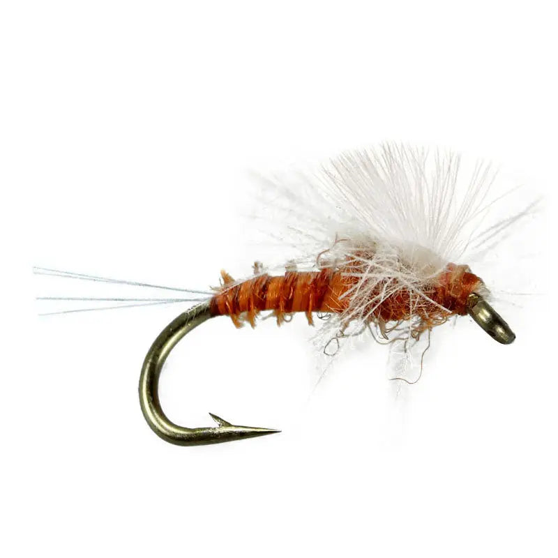 CDC - Spinner Rusty Go-Fish