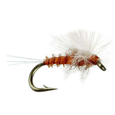 CDC - Spinner Rusty Go-Fish