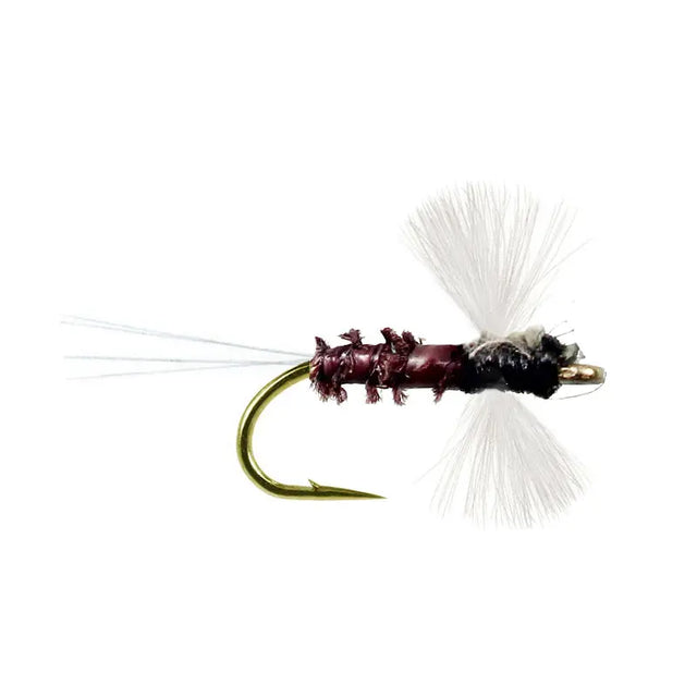 CDC - Spinner Trico Go-Fish