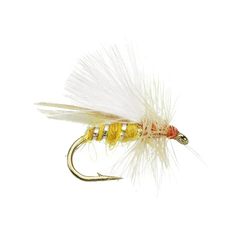 CDC - Stone Lt. Yellow Go-Fish