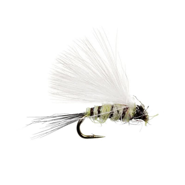 CDC - Yellow Parachute Go-Fish