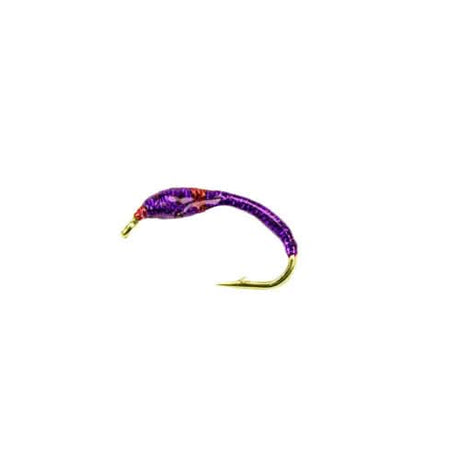 Camola mod. UV12 purple red - Go - Fish