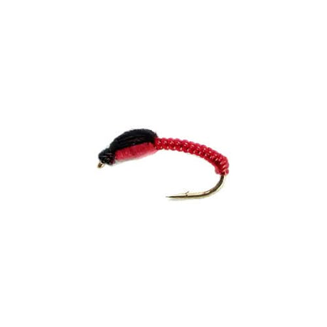 Camola mod. UV19 bood red - Go - Fish