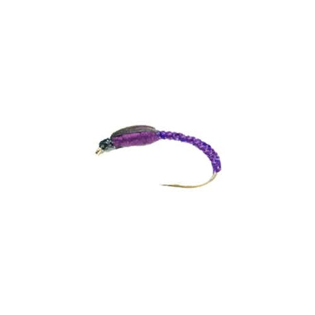 Camola mod. UV19 violet - Go - Fish
