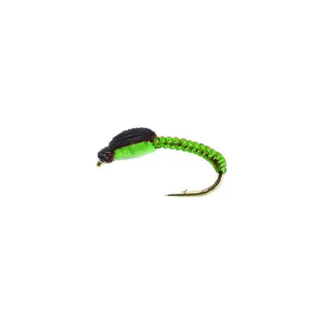 Camola mod. UV19 olive Go-Fish