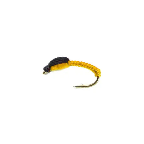 Camola mod. UV19 orange Go-Fish