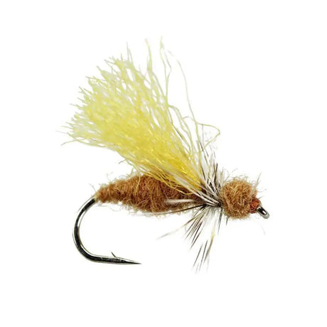 Cinnamon Flying Ant Go-Fish