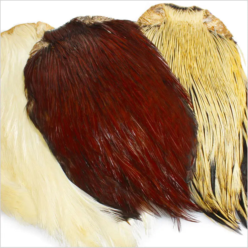 Collo di gallo indiano naturale Go-Fish