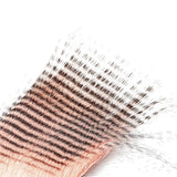 Craft Fur Grizzly Light Salmon