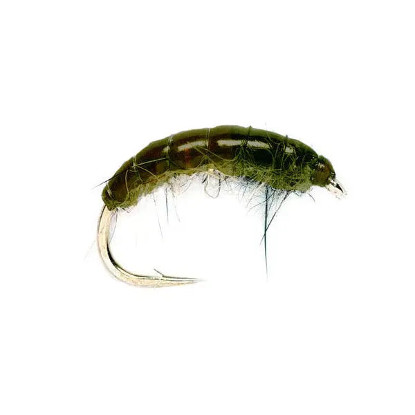 Czech Nymph olive Go-Fish