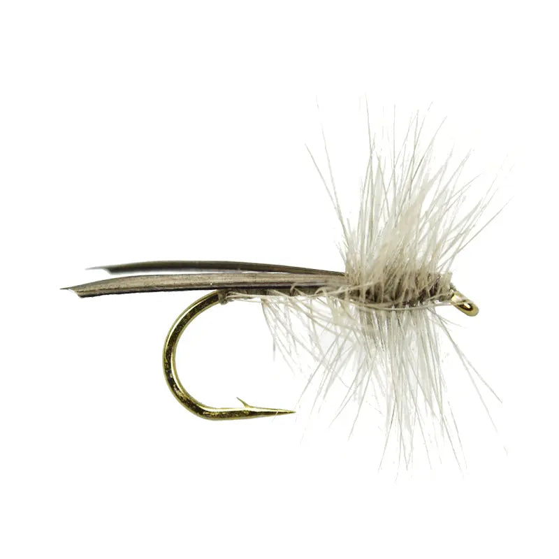 Dark Grey Stone Fly Go-Fish