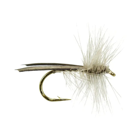 Dark Grey Stone Fly Go-Fish