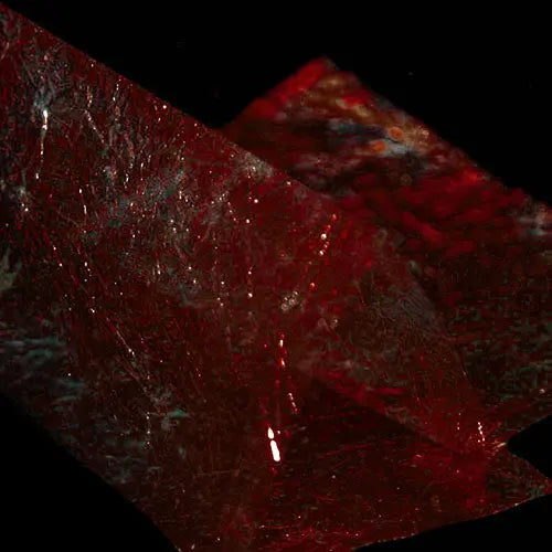 Fine Flash Back Sybai Red brown