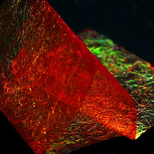 Fine Flash Back Sybai Red