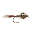Flashback Nymph Go-Fish