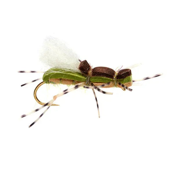 Gordo Alberto Olive Go-Fish