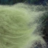Kapok Dubbing Green Olive