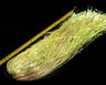 Magnum Sparkle Hair 60 cm Sybai Neon gold
