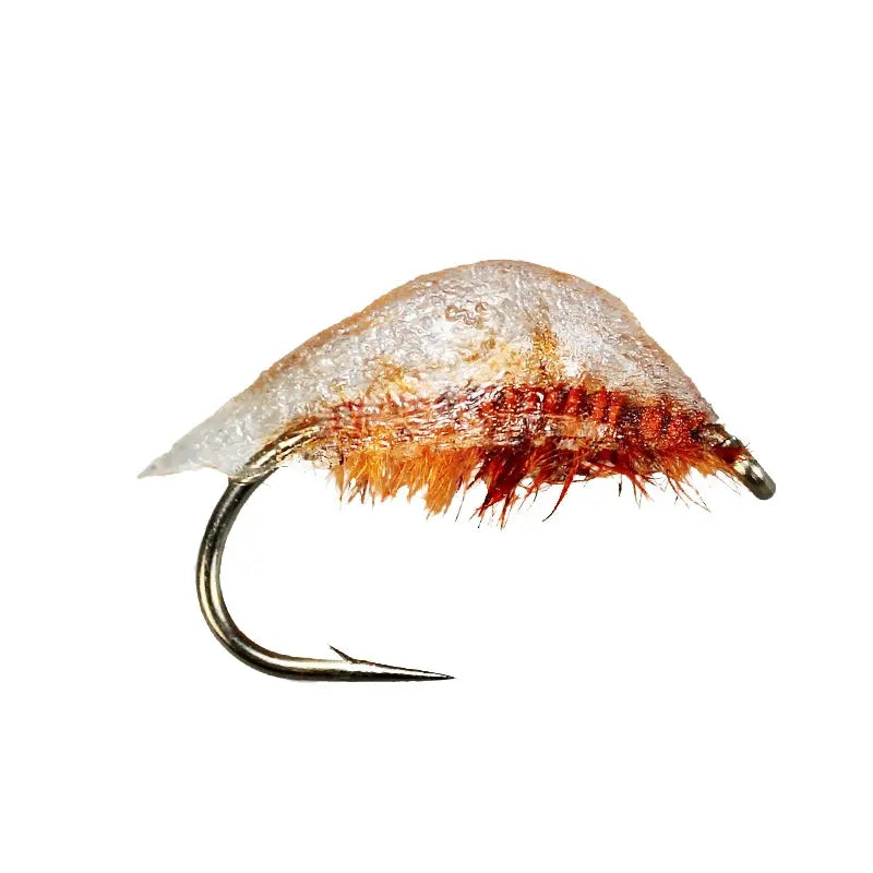 Natural Shrimp Orange Go-Fish