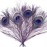 Occhio della coda di pavone Go-Fish Purple