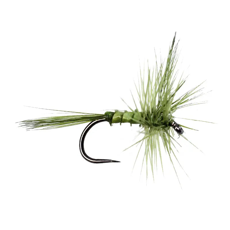 Olive Quill BL Go-Fish #12