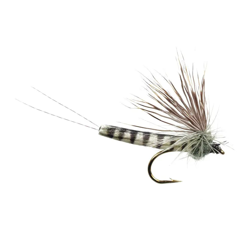 Para Grey Go-Fish