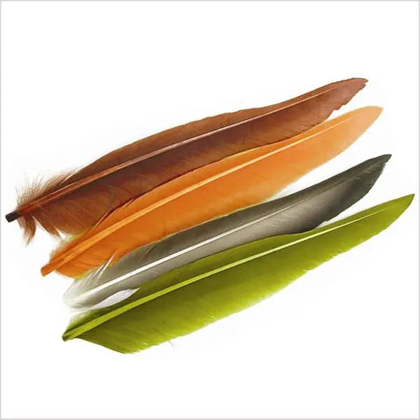 Penne delle ali di anatra | Duck Quills Go-Fish