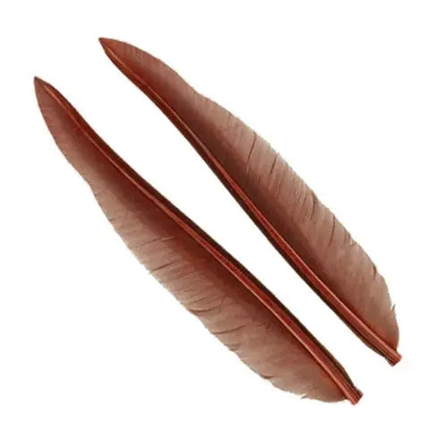 Penne delle ali di anatra | Duck Quills Go-Fish Cinnamon