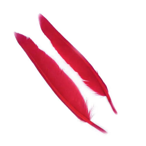 Penne delle ali di anatra | Duck Quills Go-Fish Red