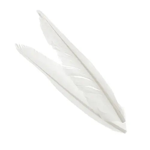 Penne delle ali di anatra | Duck Quills Go-Fish White