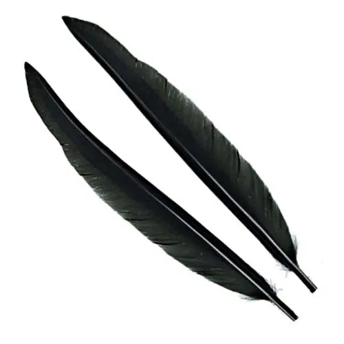 Penne delle ali di anatra | Duck Quills Go-Fish Black