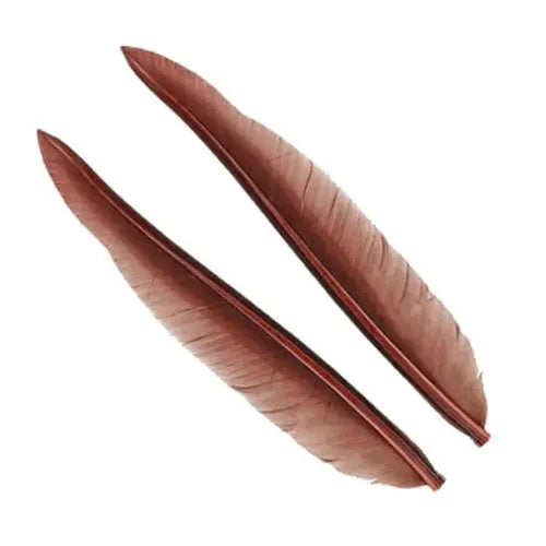 Penne delle ali di anatra | Duck Quills Go-Fish Fiery brown