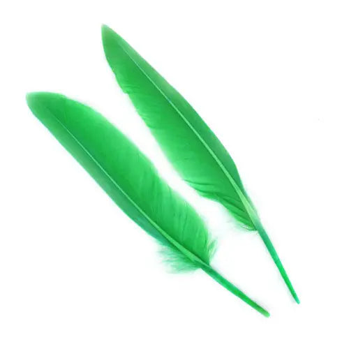 Penne delle ali di anatra | Duck Quills Go-Fish Green