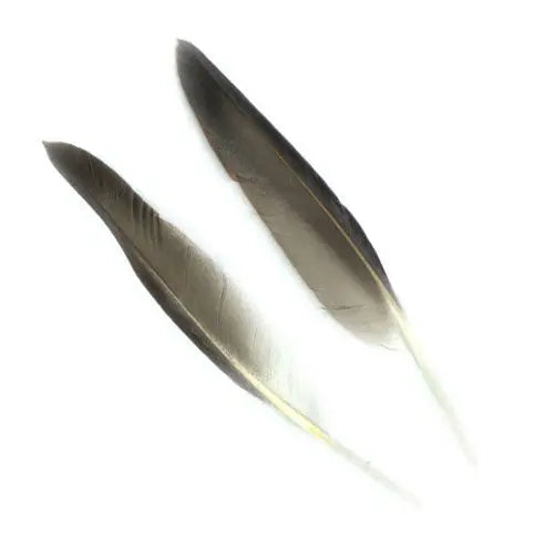 Penne delle ali di anatra | Duck Quills Go-Fish Natural Grey