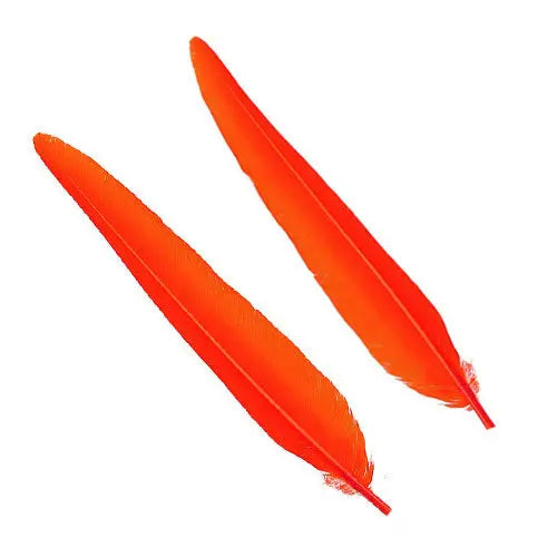 Penne delle ali di anatra | Duck Quills Go-Fish Orange