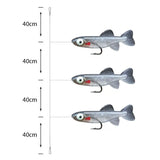 Premium Amettiere sabiki per persico Go-Fish